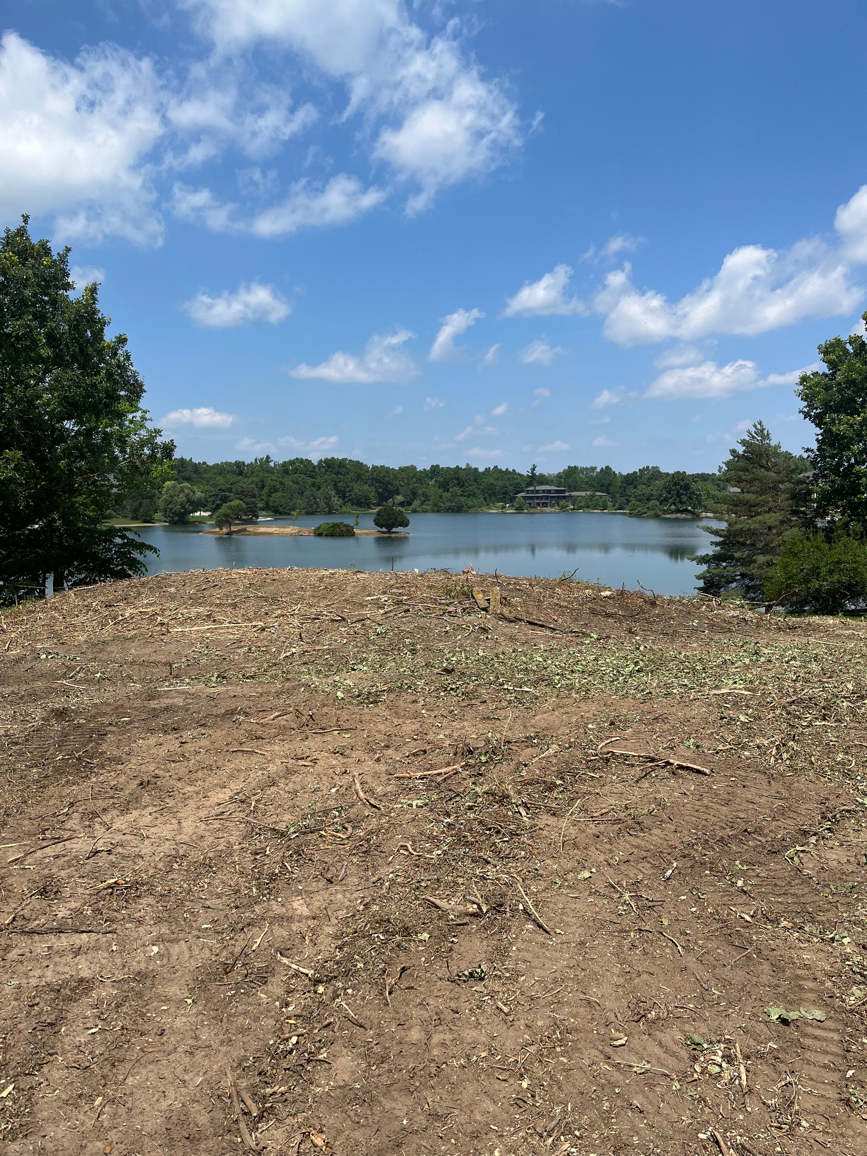 Lot Clearing